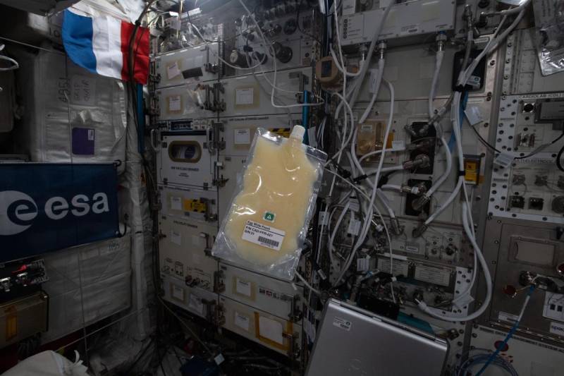 A view of the Edible Foam in the Food Processor Consumables Kit aboard the International Space Station (ISS)