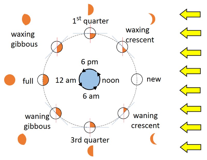 Phases Of The Moon