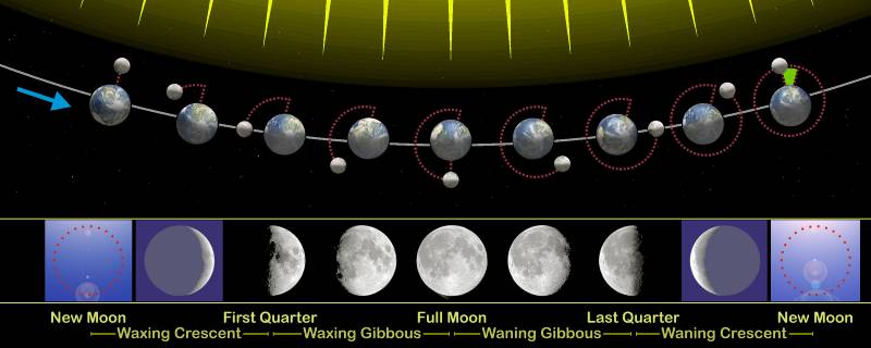 Moon Phases